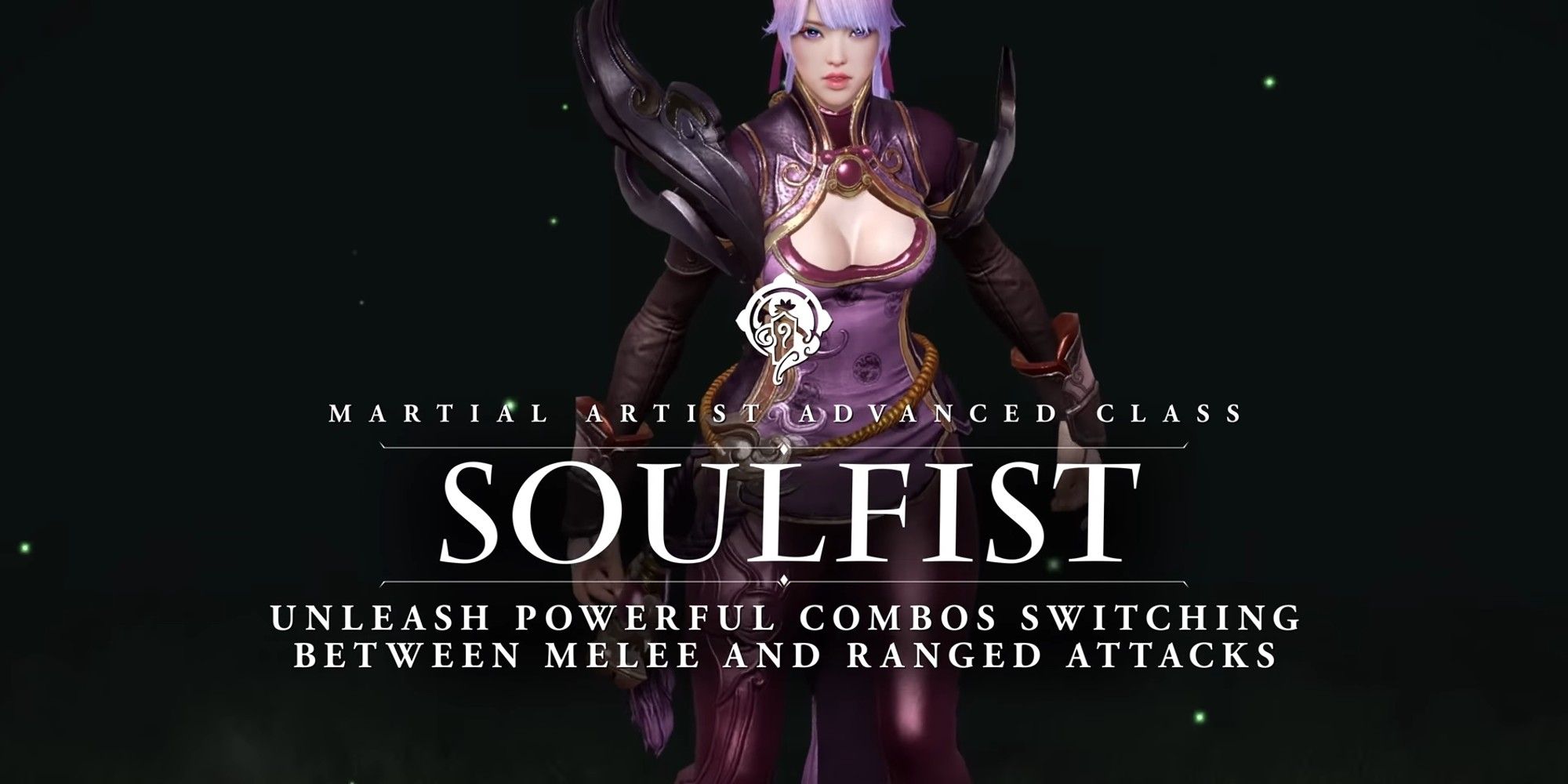 Soul Fist Class Overview