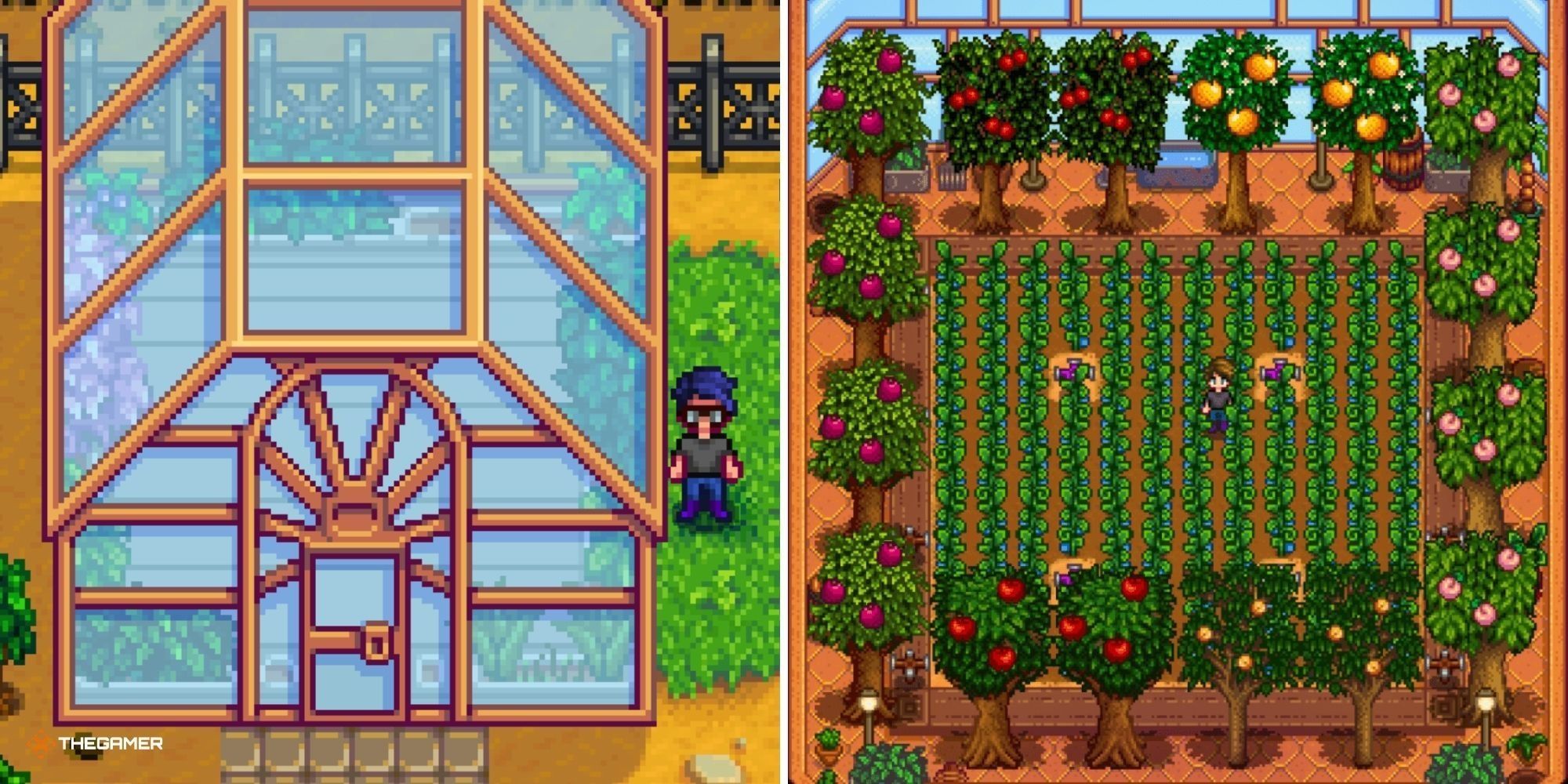 Stardew Valley Greenhouse