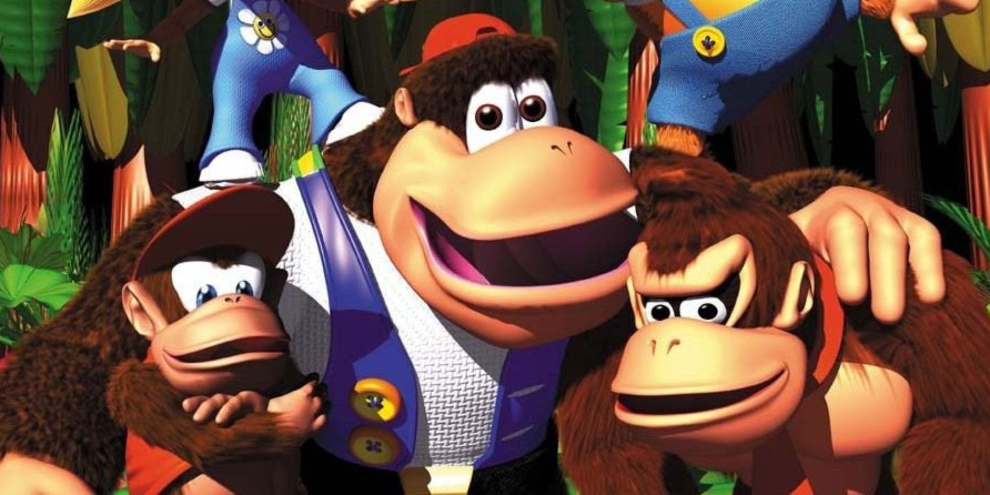 The Donkey Kong Family