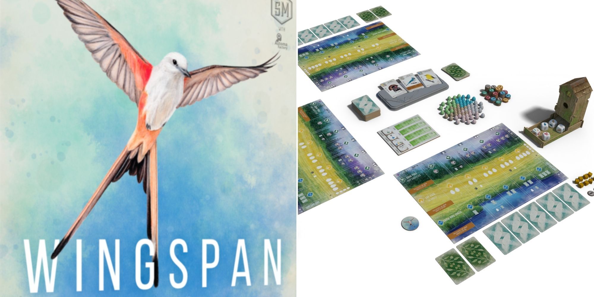 Wingspan - Board Game Box - Game boards and components