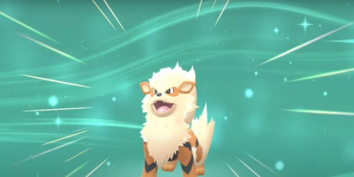 Arcanine a fire-type that can learn the powerful Play Rough move