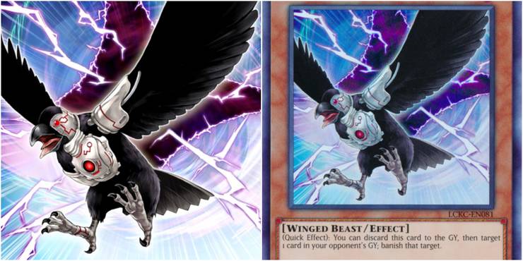 Yugioh d.d. crow