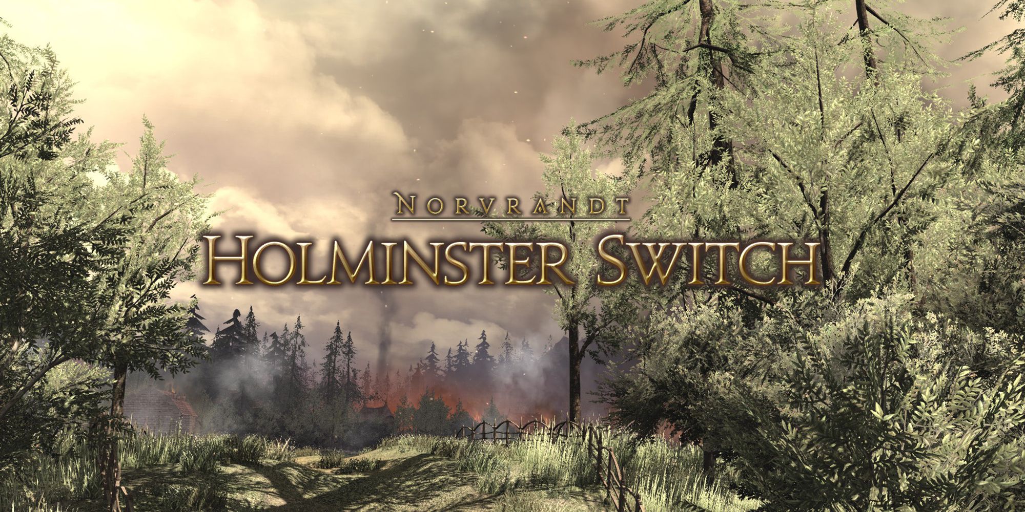 holminster switch intro