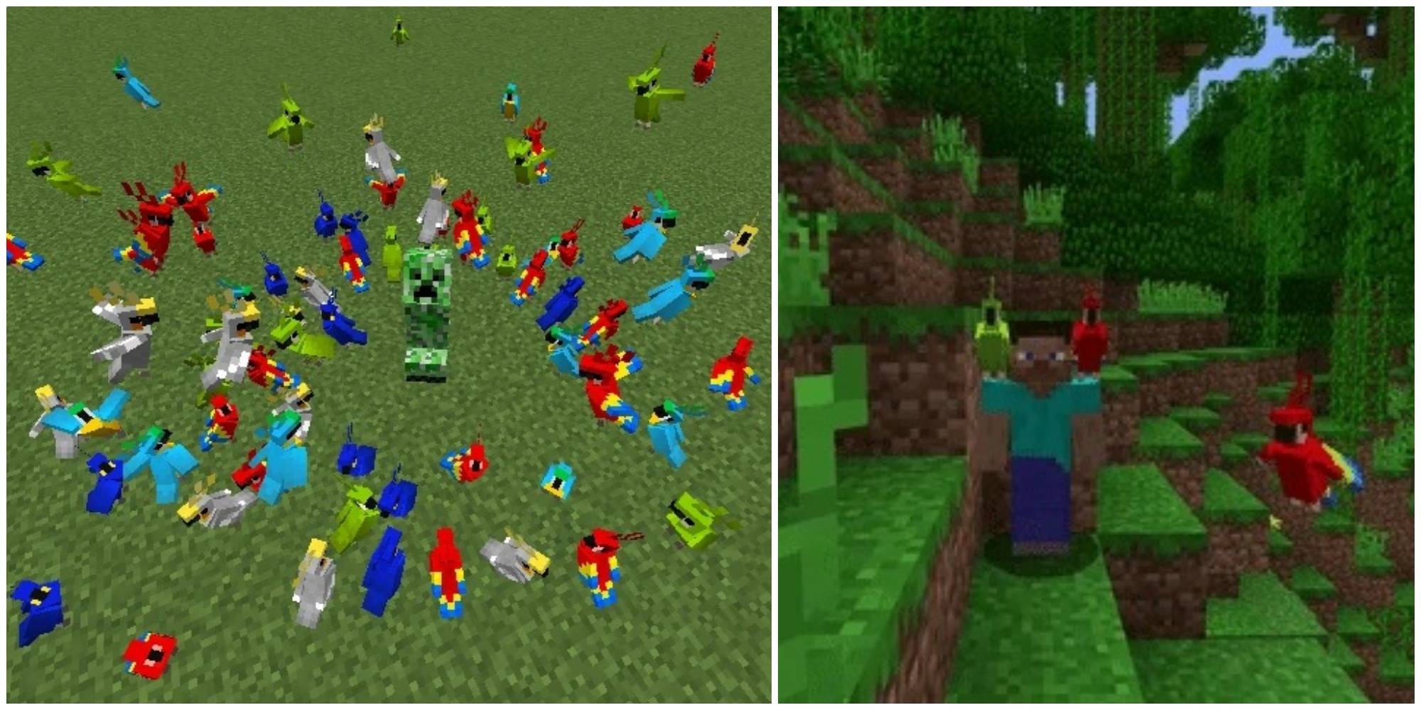 Minecraft Guide To Parrot Taming And Breeding Minecraft Guide To Parrot Taming And Breeding
