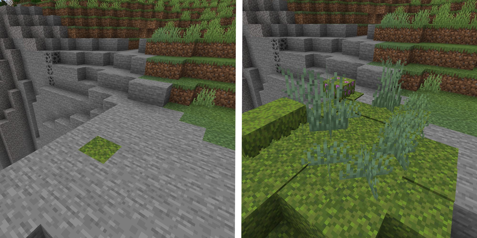 split image of moss block before and after bonemeal is added, spreading the moss