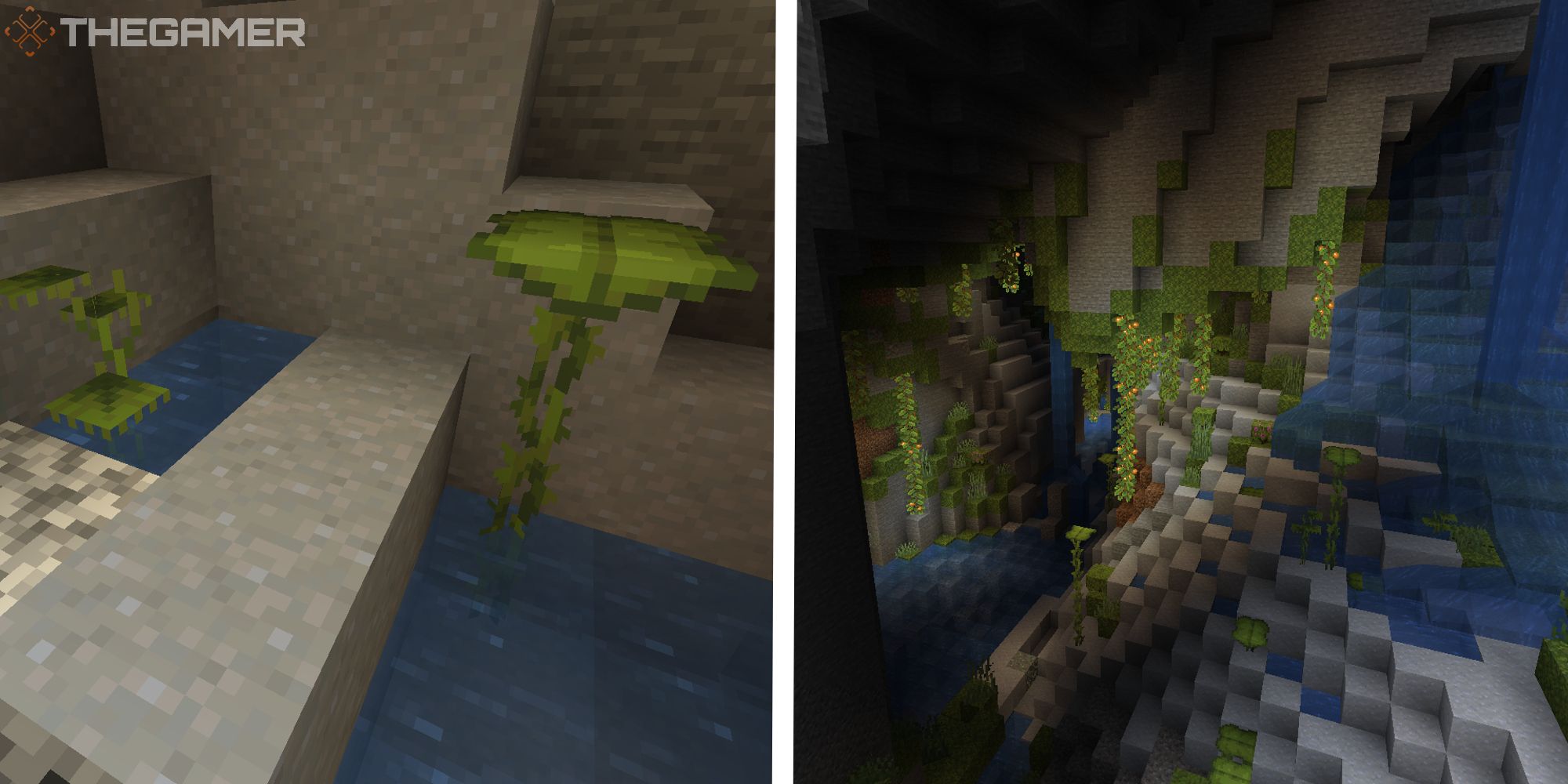 image of growing dripleaf next to image of lush cave