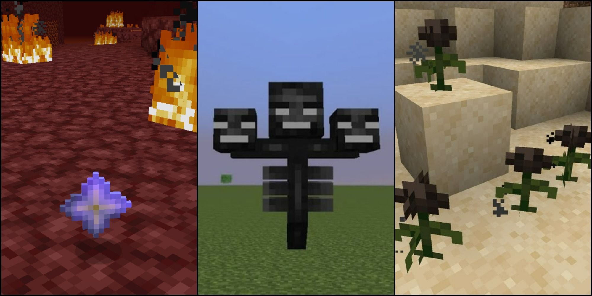 Minecraft: Things You Didn't The Wither