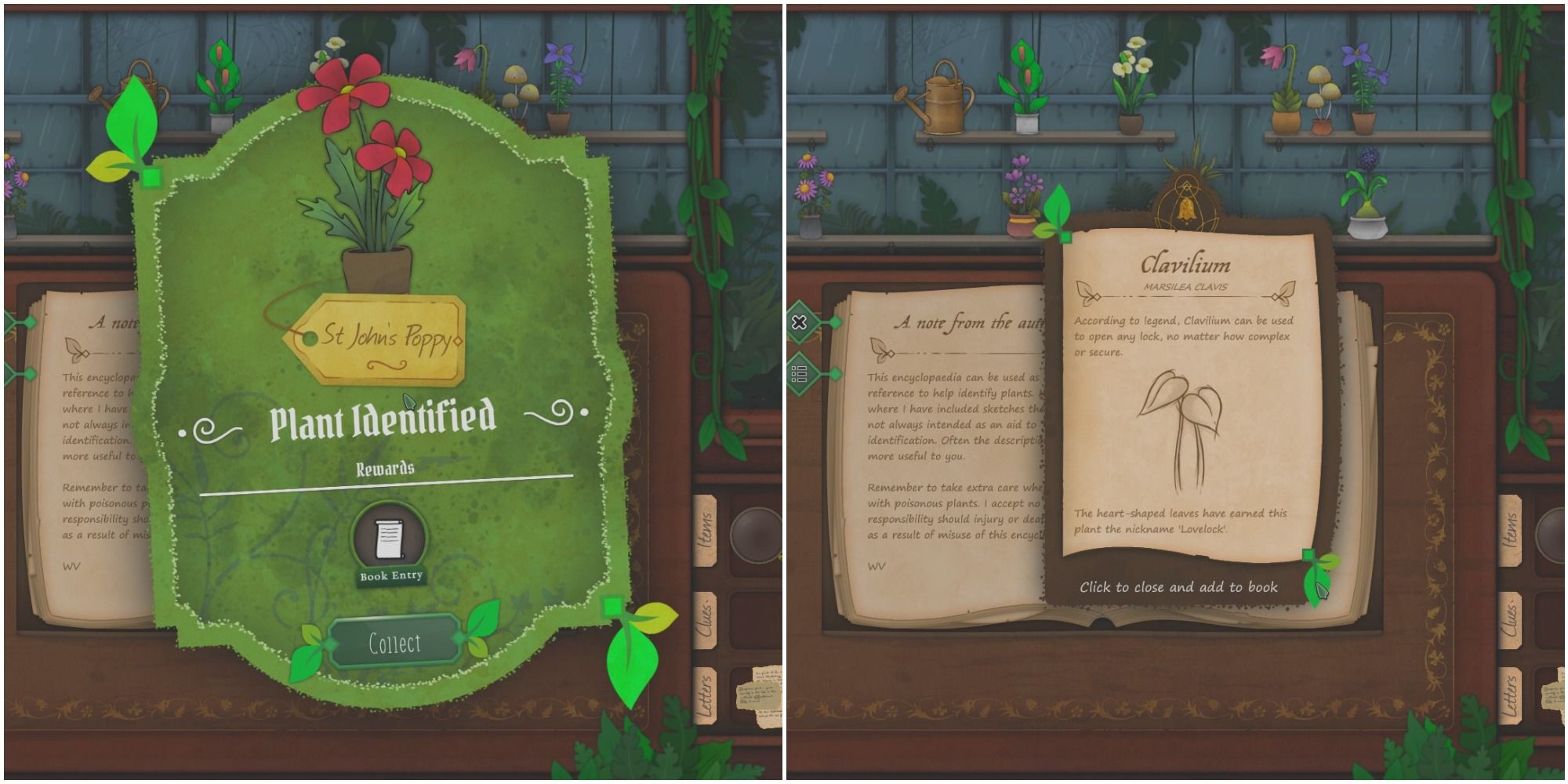 A split image from left to right: a red plant identified, and a new plant entry for the book with a illustration of a leaf