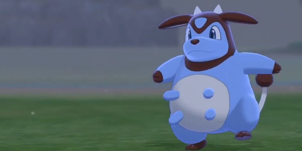 Encountering a Shiny Miltank in Pokemon Sword Pokemon Shield