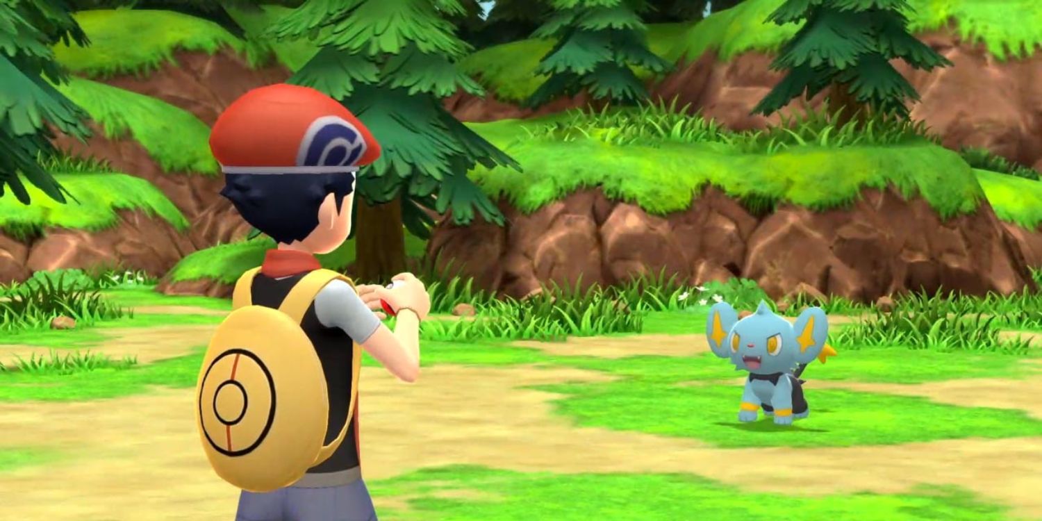 The cat like Shinx eyeing down a trainer