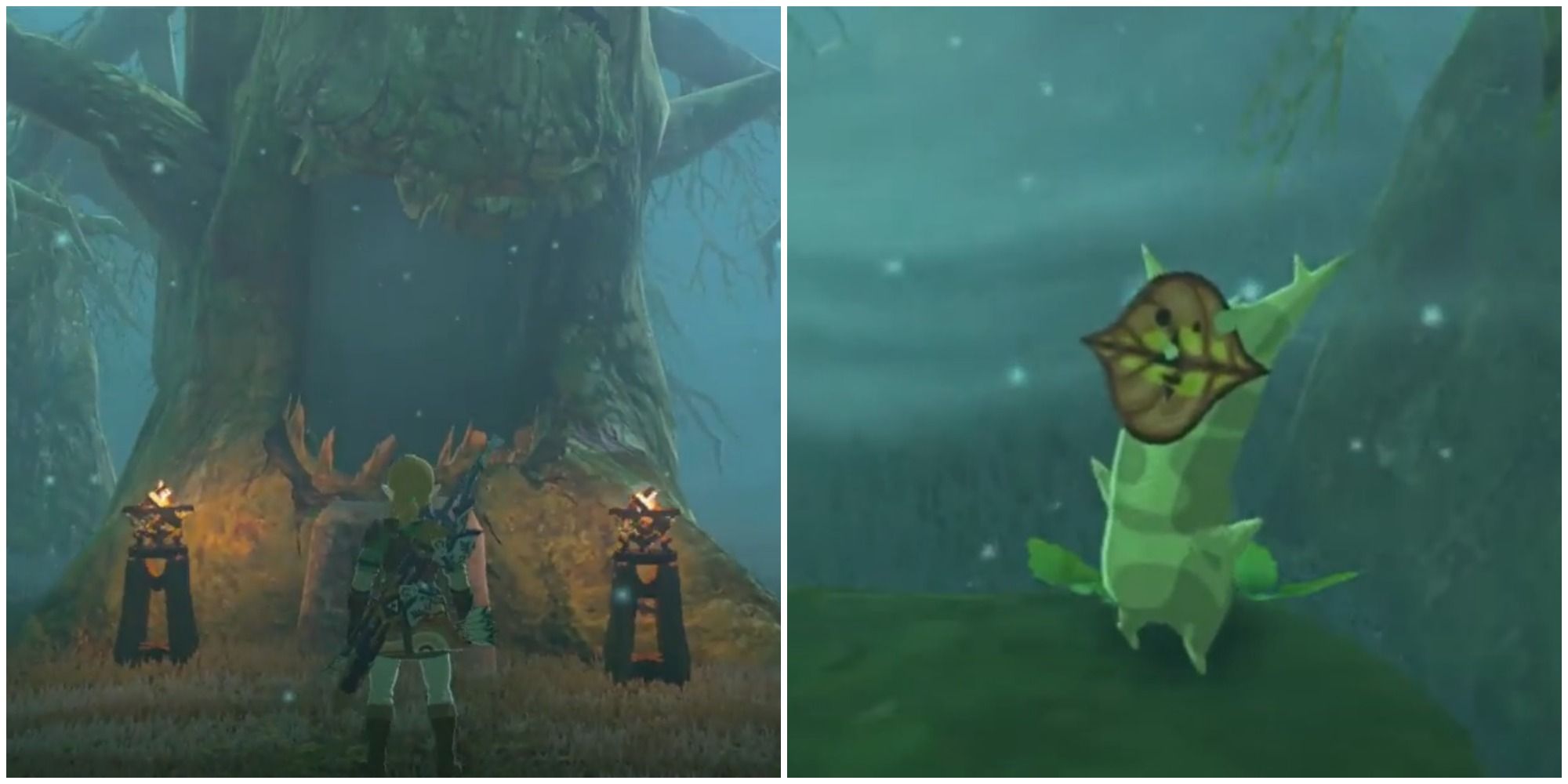 The Legend Of Zelda Breath Of The Wild Trial Of Second Sight Shrine