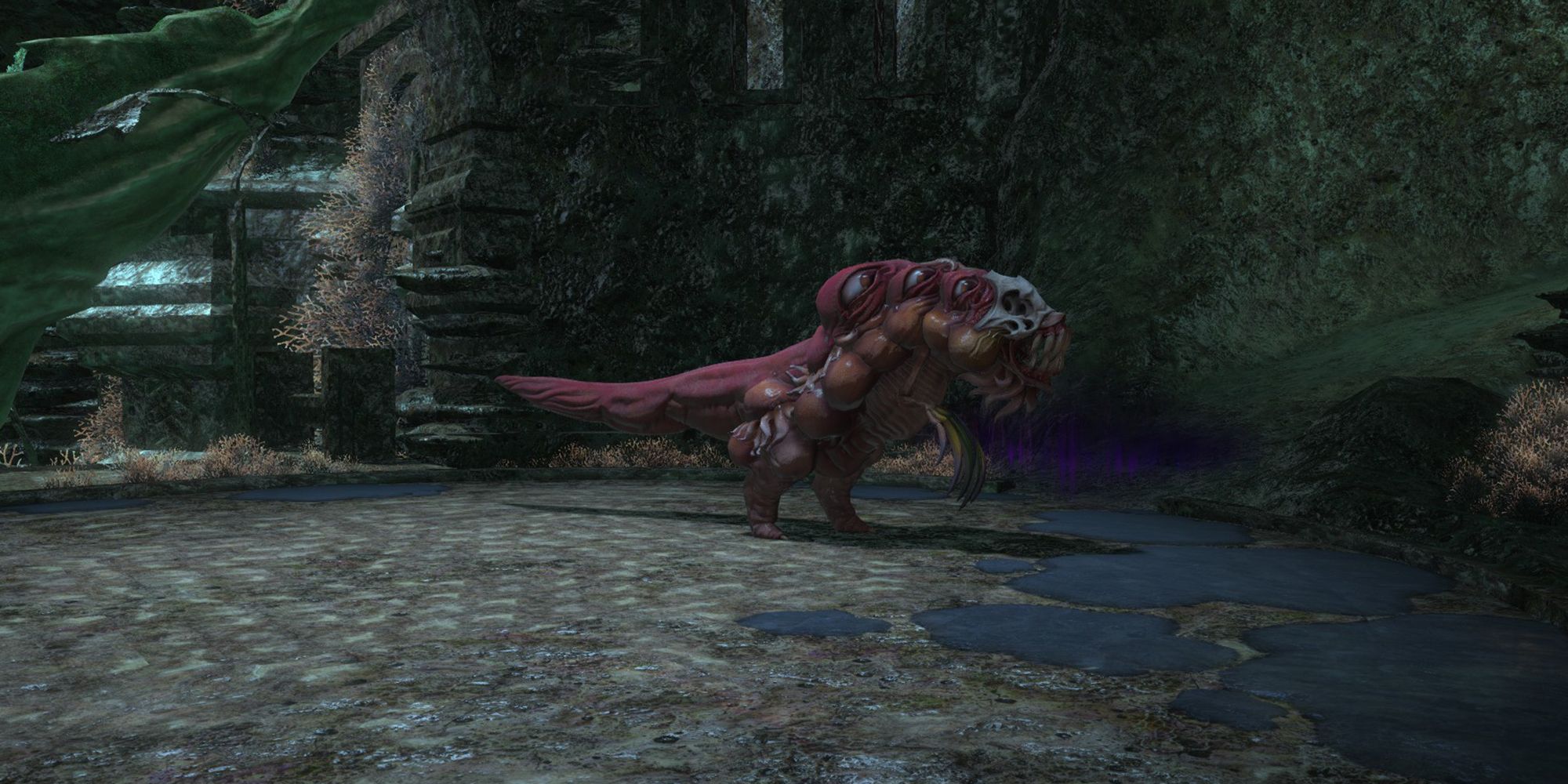 unknown, first boss of anamnesis anyder