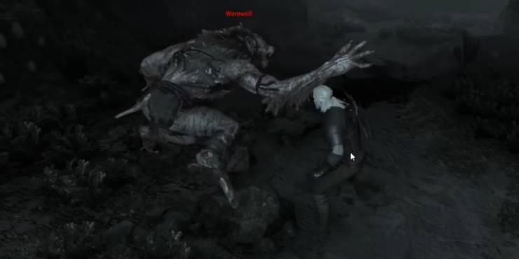 witcher_3_werewolf_fighting_geralt_inside_cave.jpg (740×370)