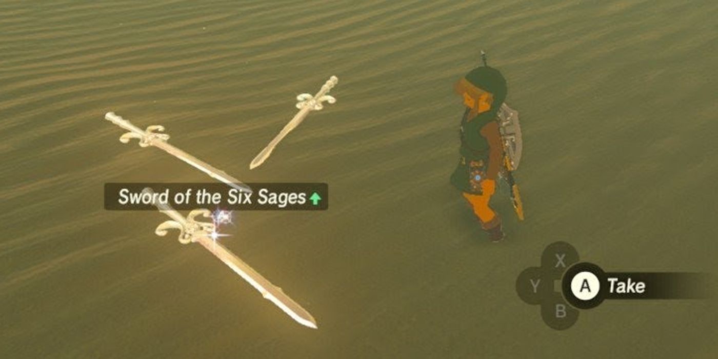 Link in front of the Sword of the Six Sages in Breath of the Wild.