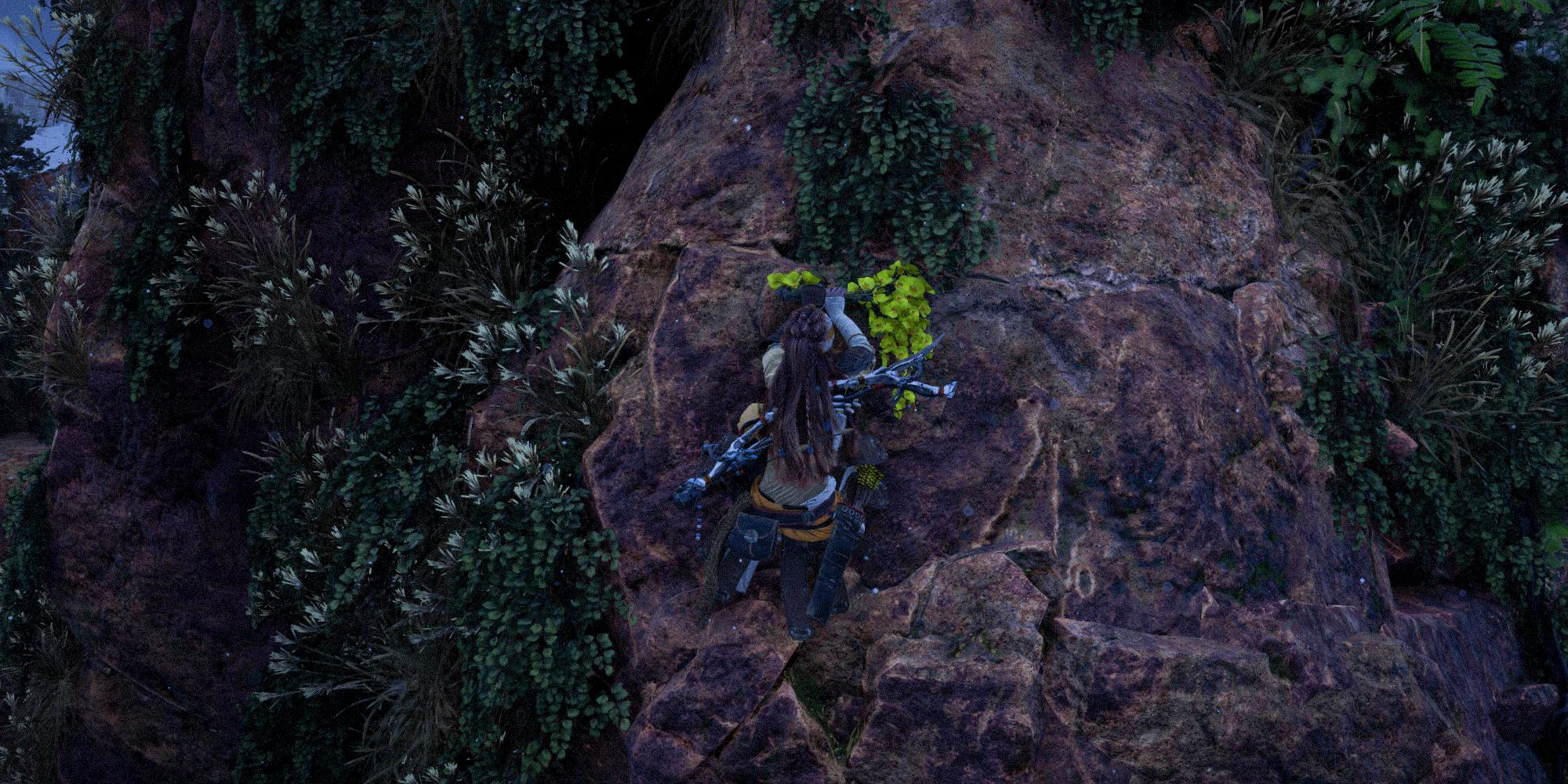 Horizon Forbidden West Aloy climbing a rock.