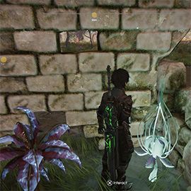 The fifth crystal fruit location in the ruins next to the purple tree in Herelsor Plain. Edge Of Eternity.