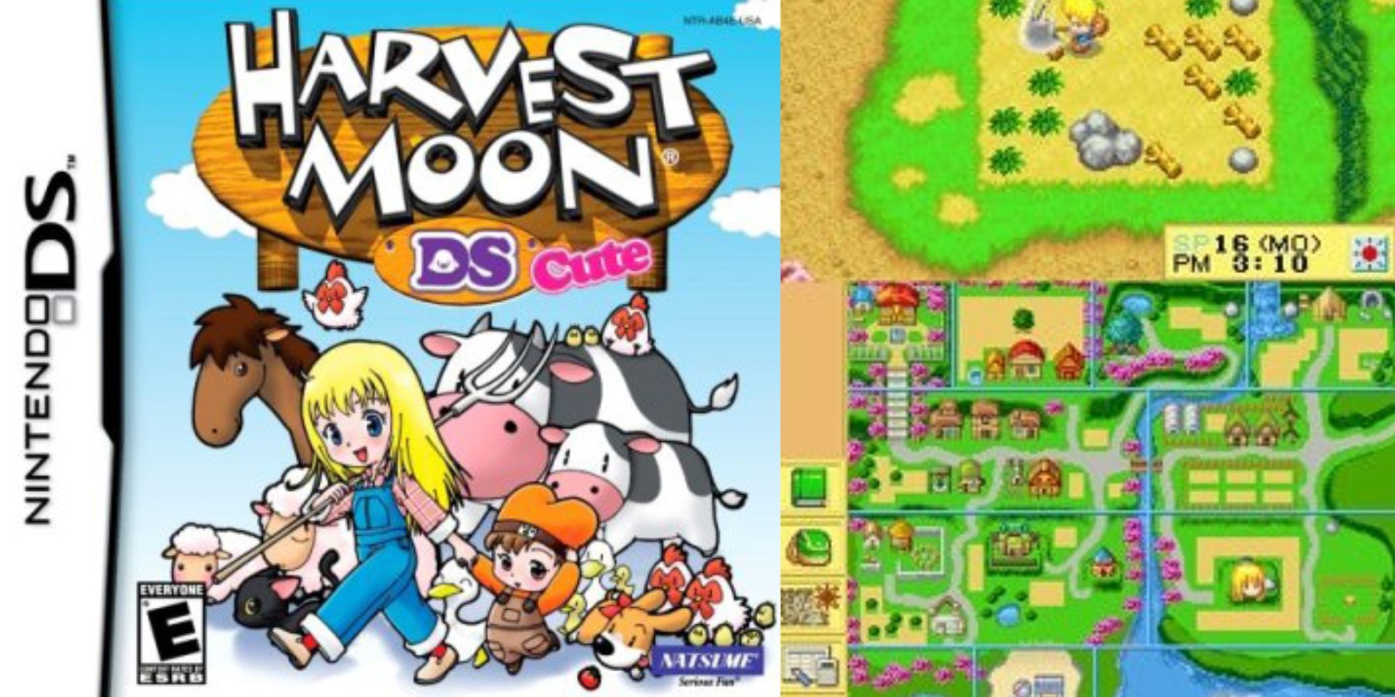 DS Games Harvest Moon DS Cute
