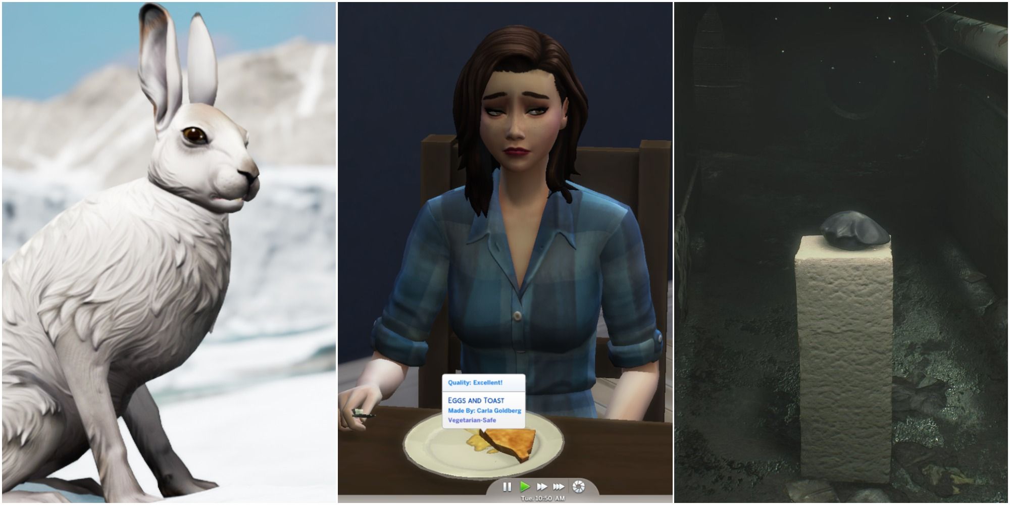 Dread Hunger showing rabbit The Sims 3 eating eggs & toast Resident Evil 2 Tofu playing as a Vegetarian
