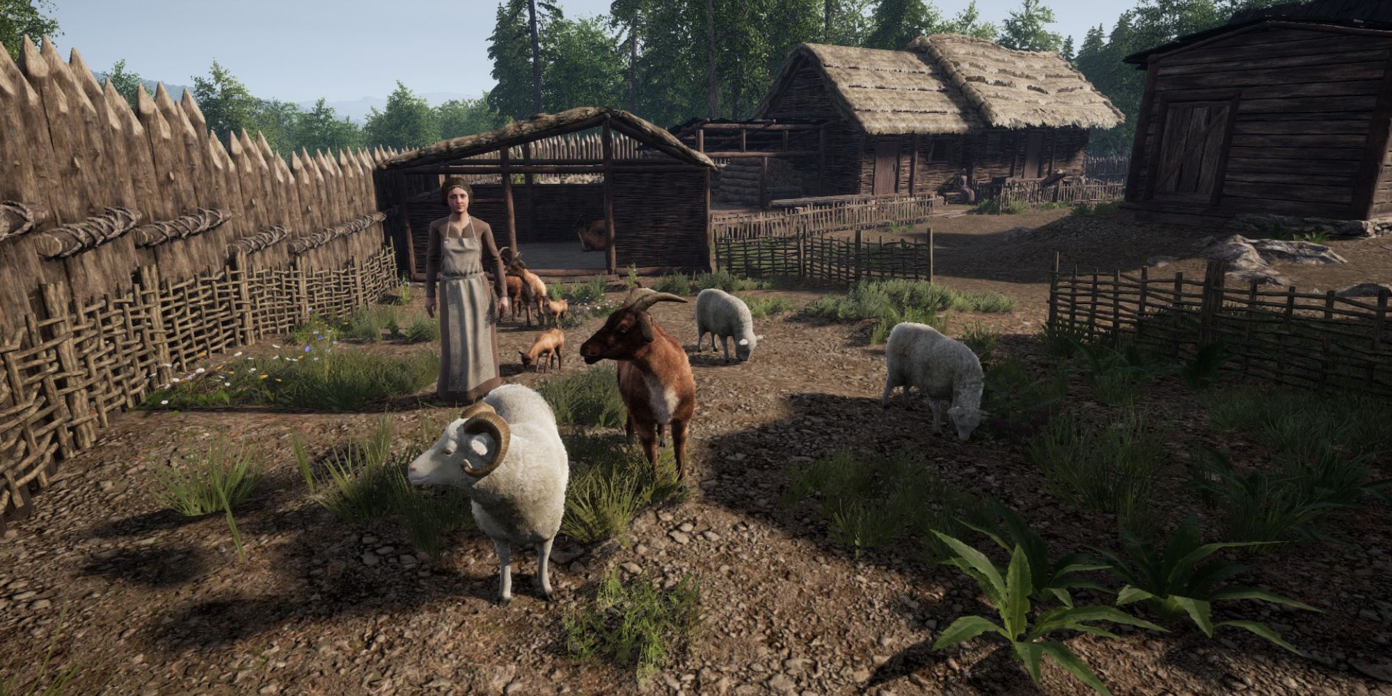 Medieval dynasty animals roaming the farm
