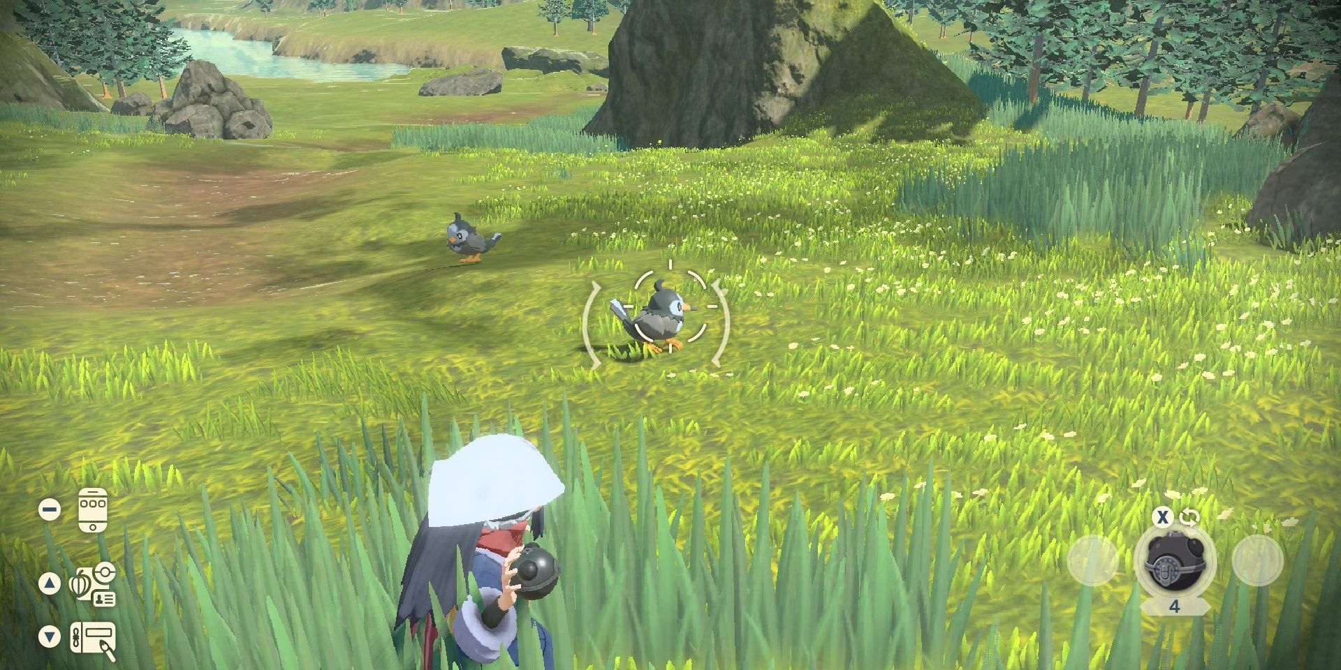 Pokemon Legends Arceus: Trainer Attempting To Catch Starly In Hisui Region