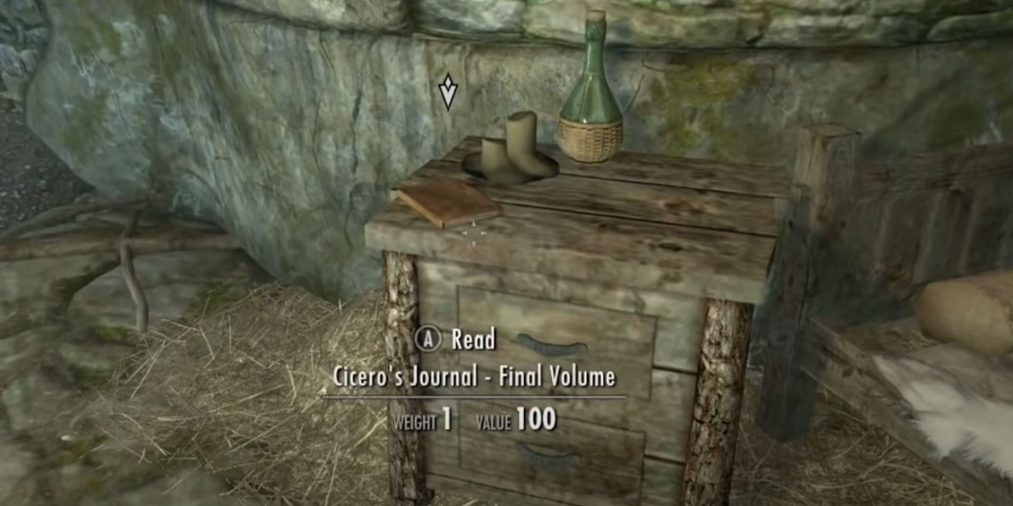 Skyrim Cicero's Journal On A Table