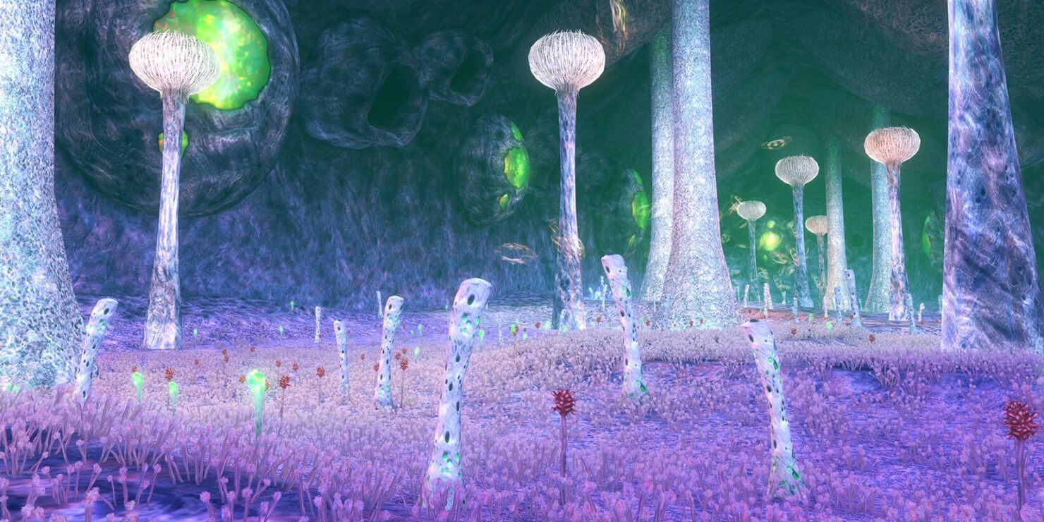 The Bionis' Interior featuring purple grass in a cave