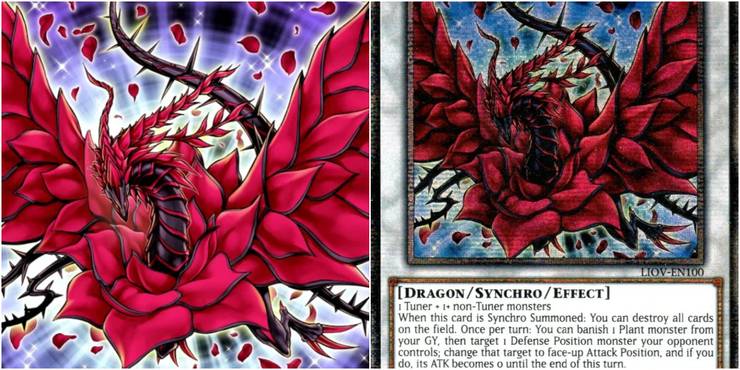 Yugioh black rose dragon