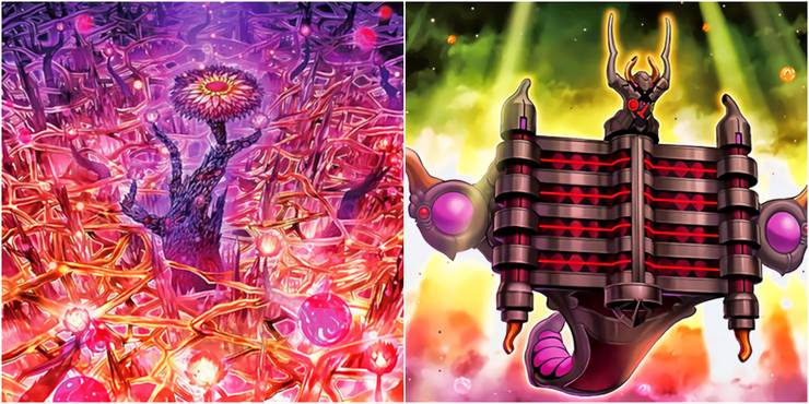 Yugioh numeron network and wall