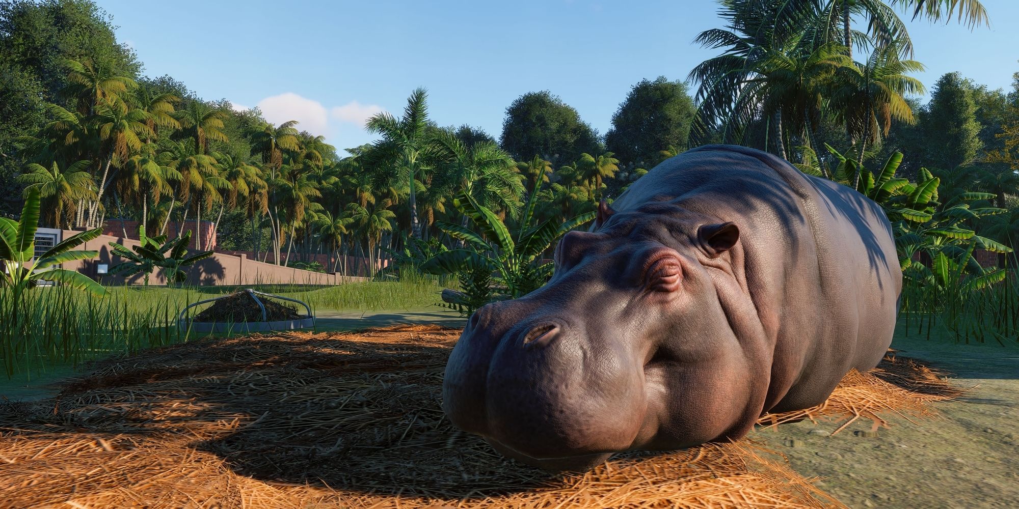 Planet Zoo Hippo 