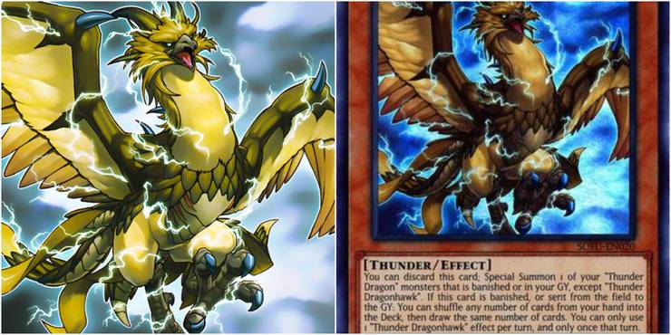 Yugioh thunder dragonhawk