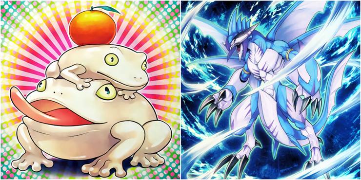 Yugioh water xyz toadally awesome and bahamut shark