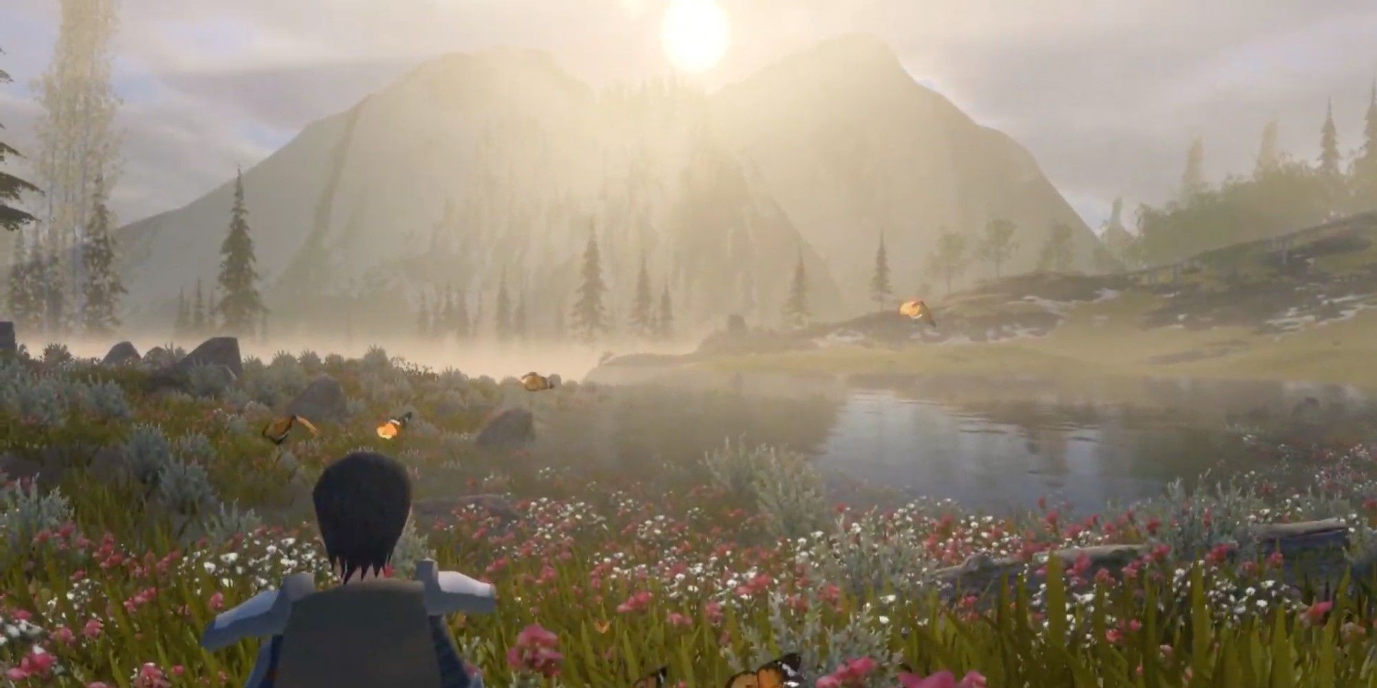 wilderless gameplay staring at scenic sunset in wilderness