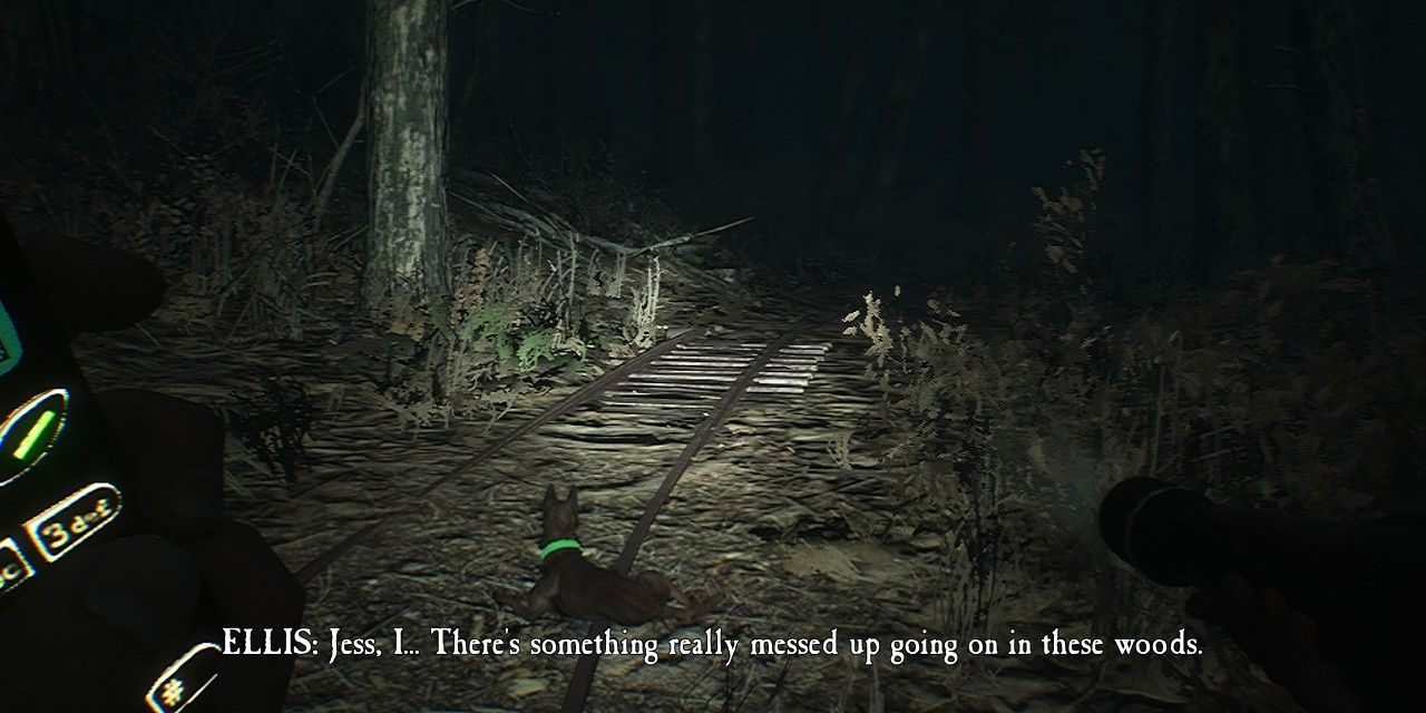 A torch-lit forest in this screenshot of FPS horror Blair Witch 