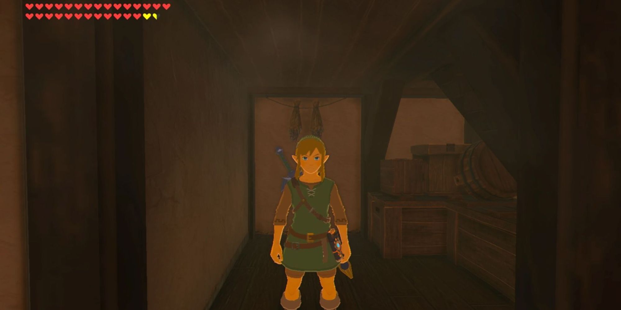 Link stands in a house while wearing the Armor Of The Wild