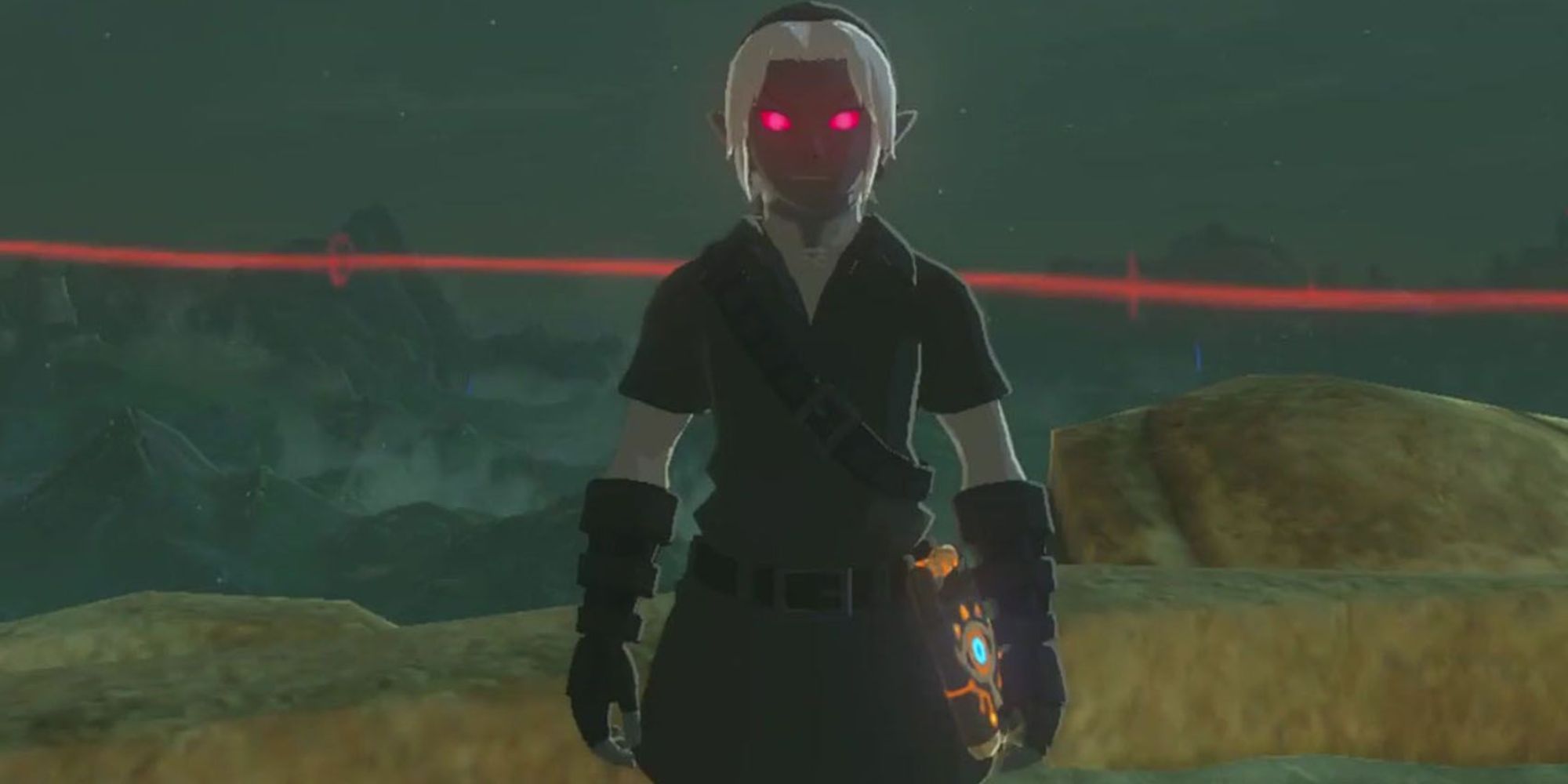 Close up of Link wearing the Dark Link outfit in BOTW