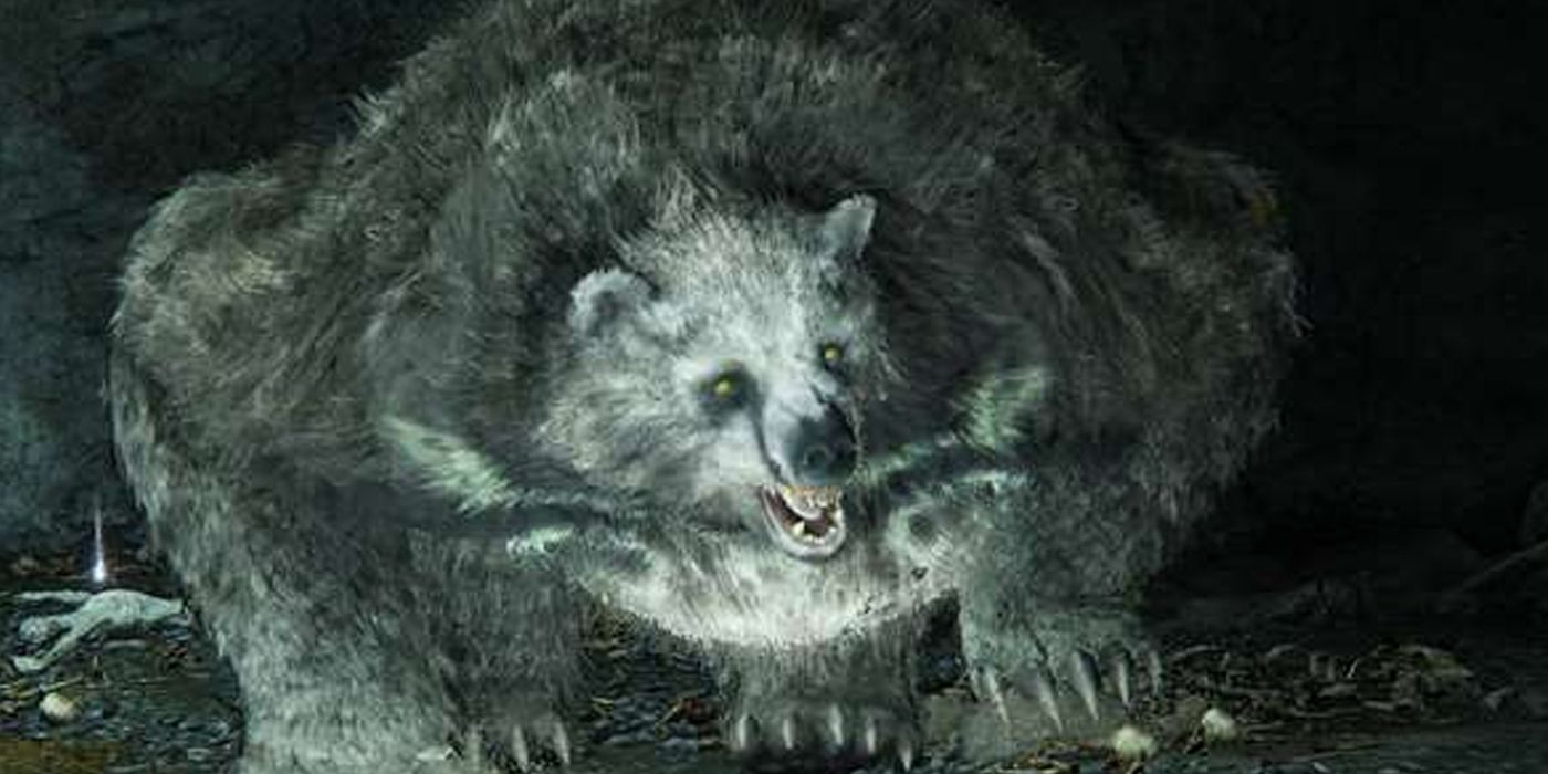 Best Bears In Video Games 6 - rune bear in a cave in elden ring