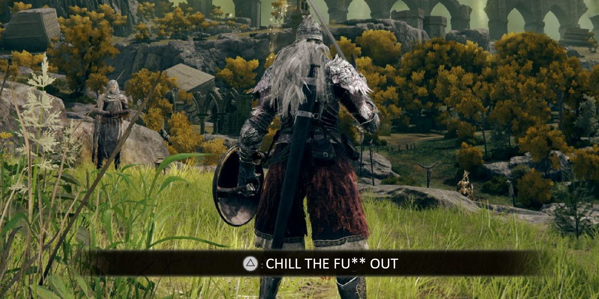 elden ring screenshot from limgrave with a message that says Chill The Fuck Out