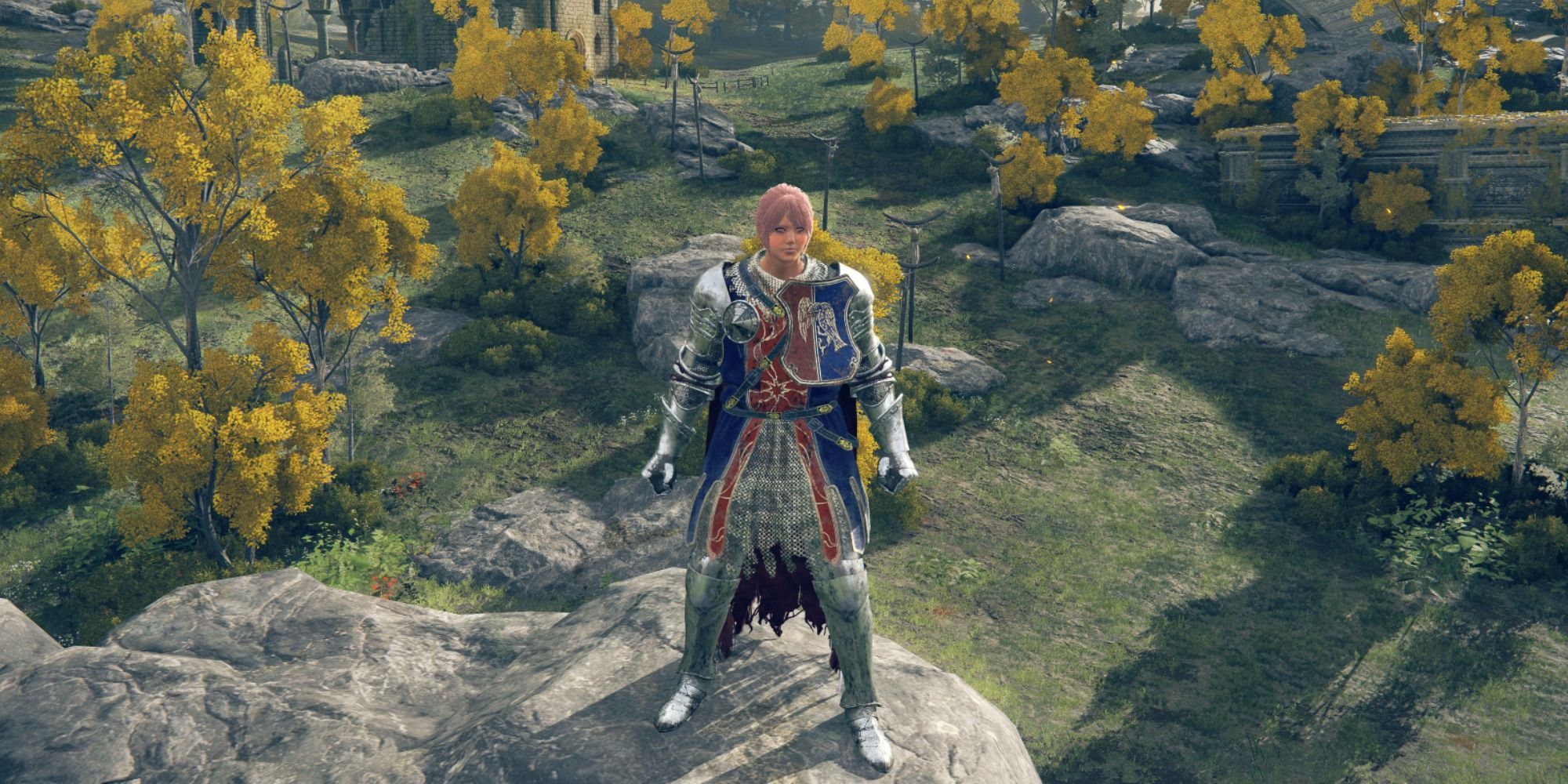 The Raya Lucarian Soldier Armor Set in Elden Ring