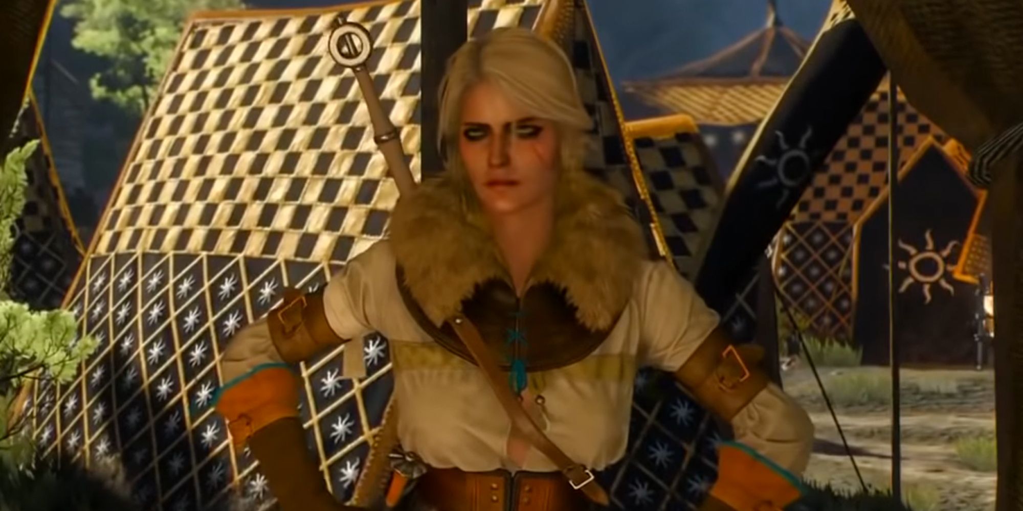 The Witcher 3 Ciri Talking To Geralt