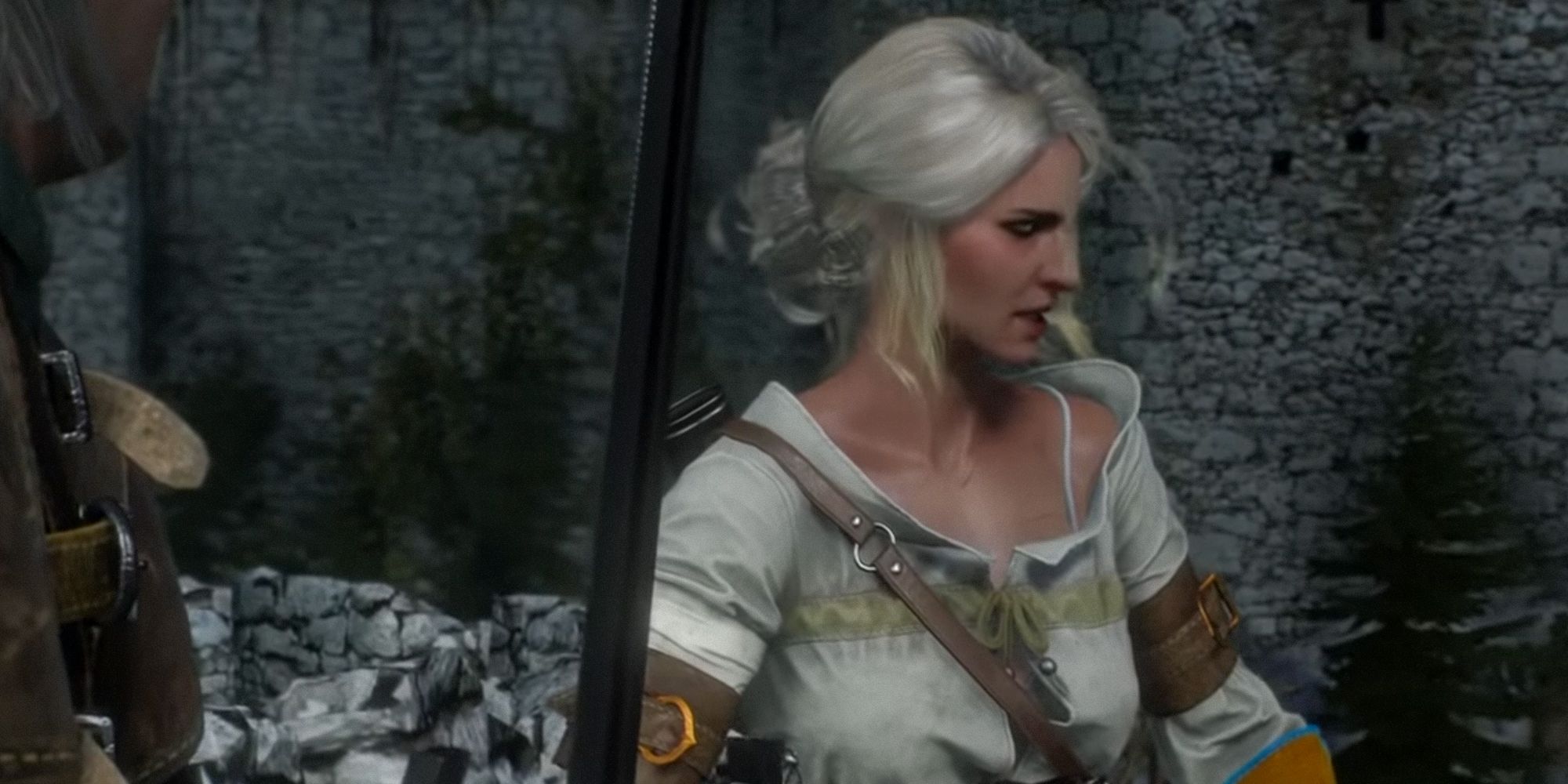 The Witcher 3 Ciri Talking To Vesemir