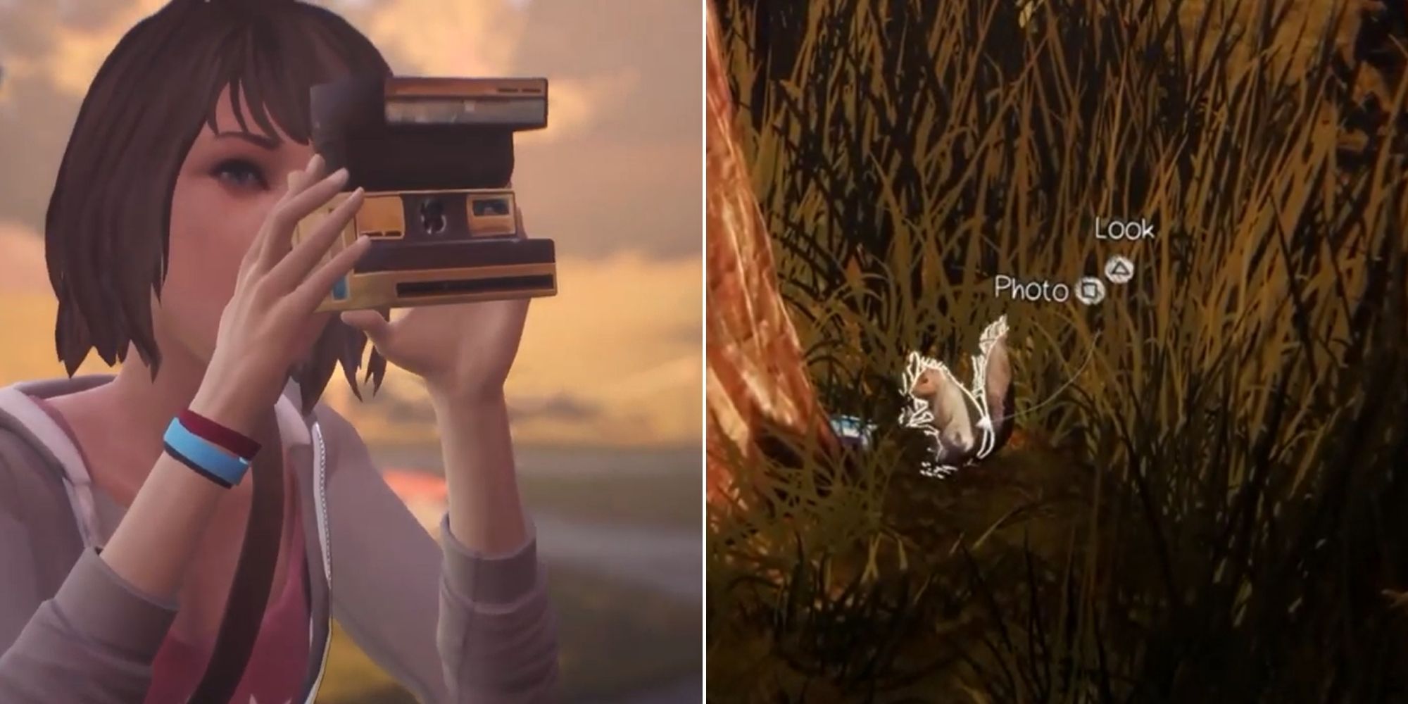 Life Is Strange Remastered Collection - Max taking a photo - A Squirrel Photo Opportunity 