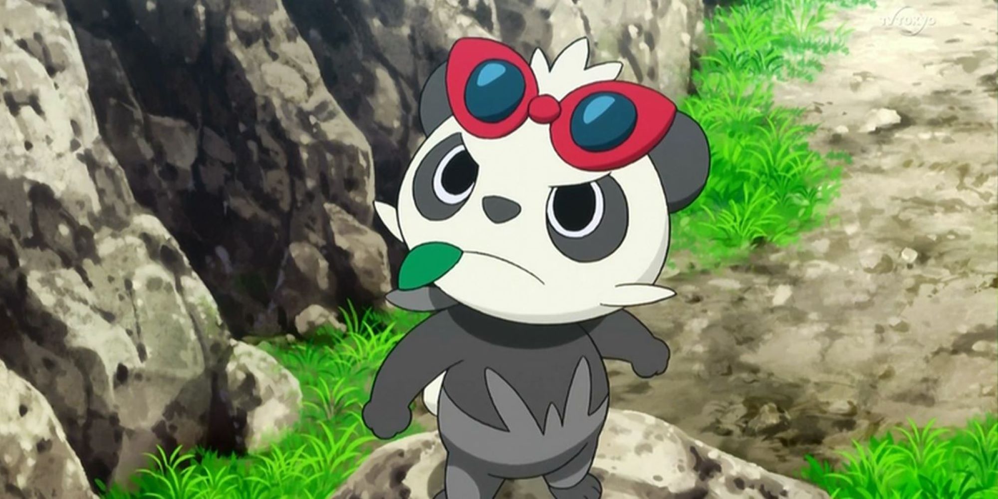 Pancham With Goggles And Leaf In Mouth