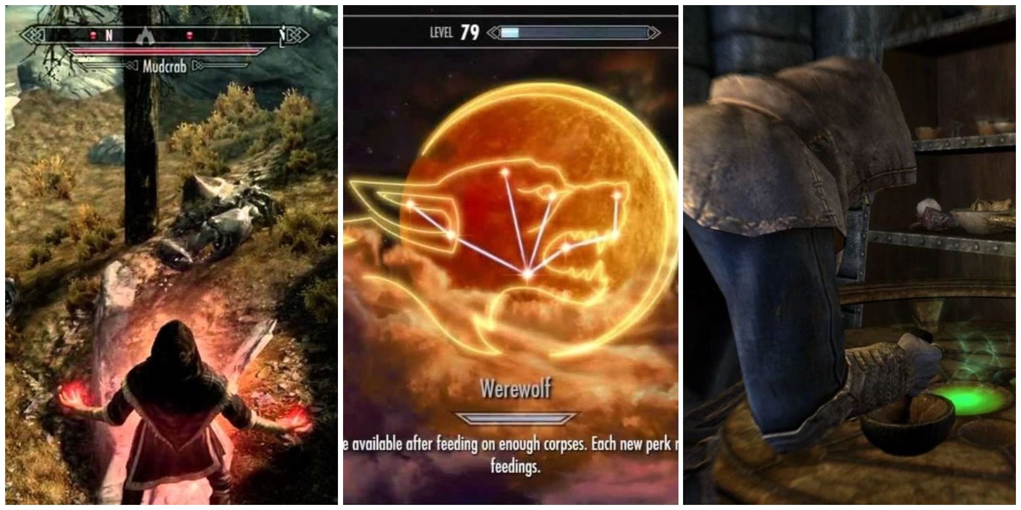 Skyrim Best Werewolf Perks Split Image