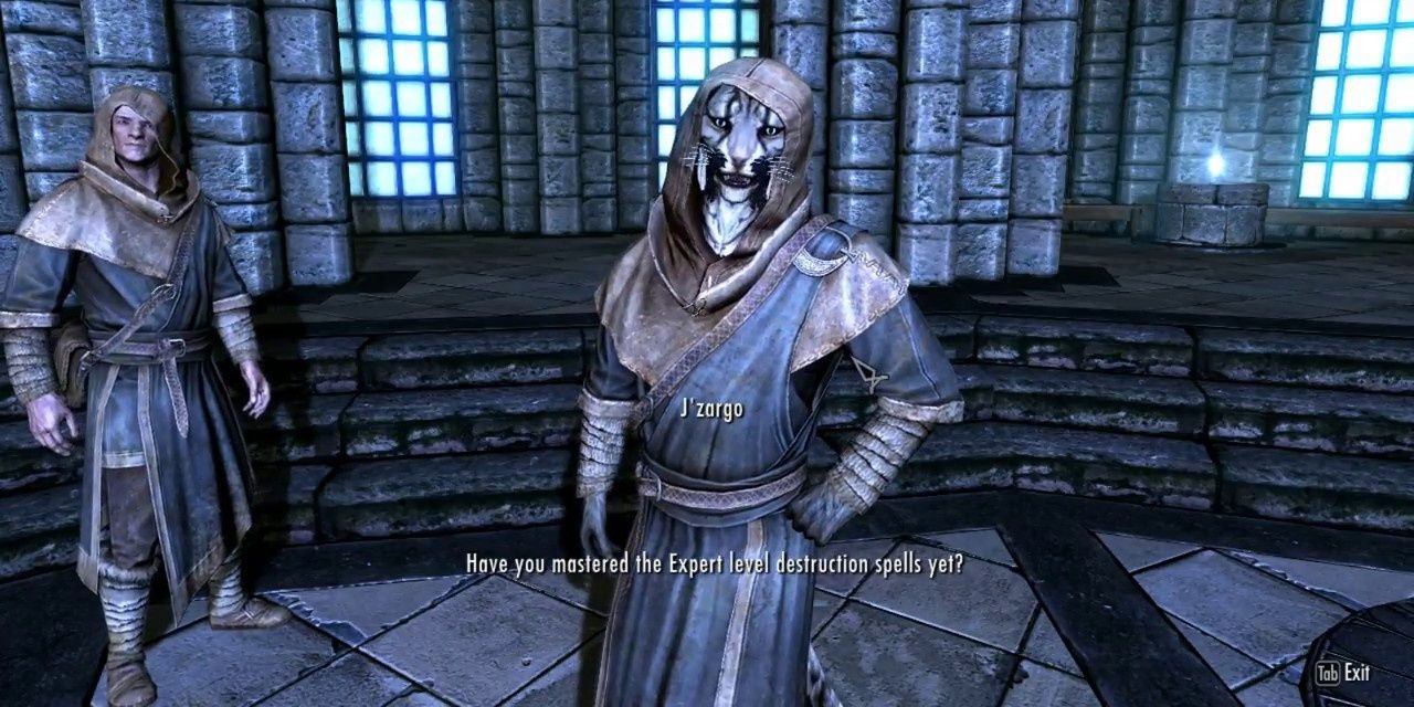 Fellow wizard J'zargo speaking to the player in Skyrim.