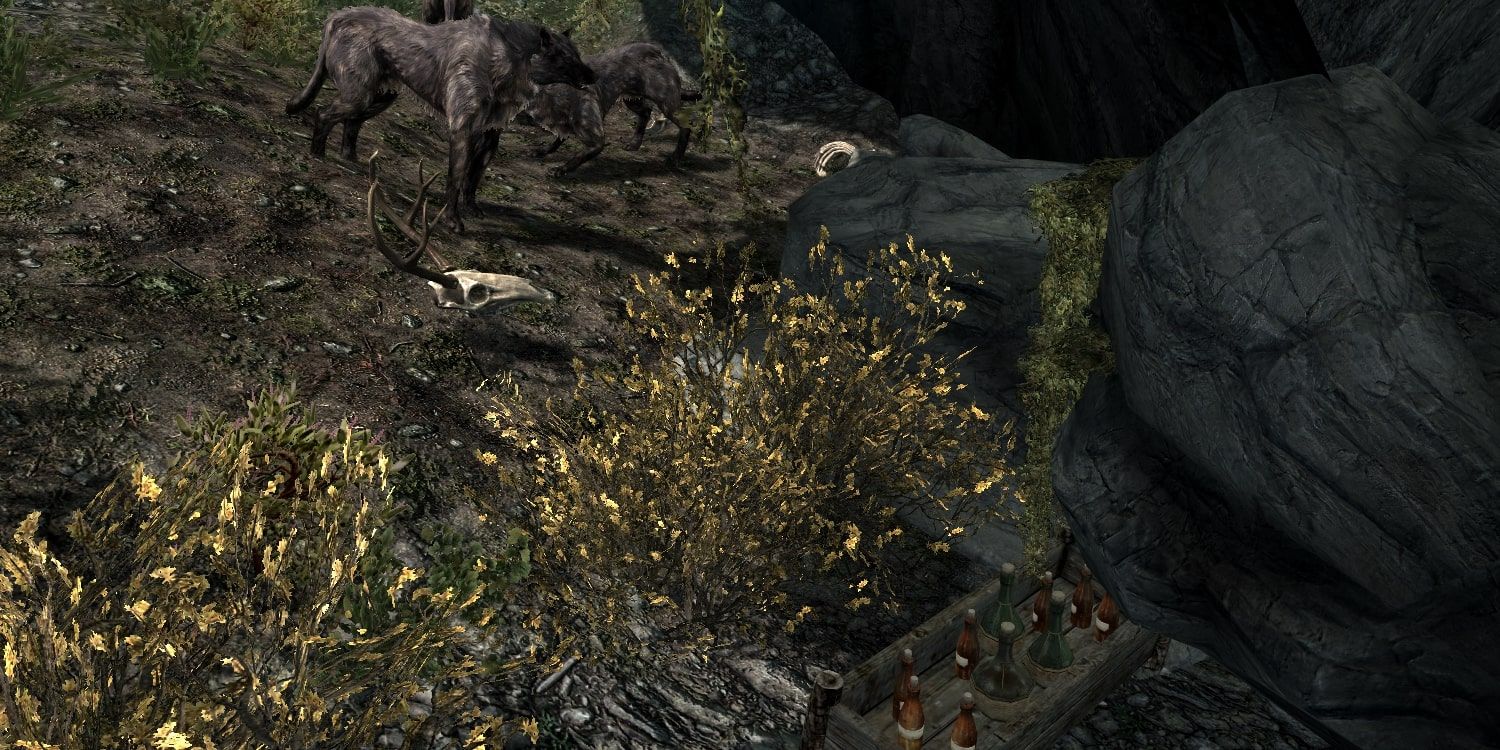 A hidden stash of mead guarded by wolves in Skyrim.