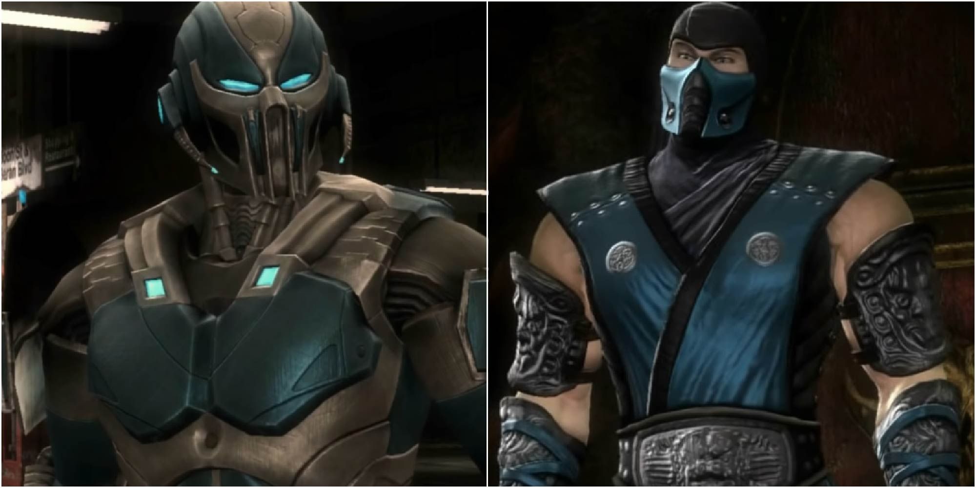 SubZero and Cyber SubZero, from Mortal Kombat 9