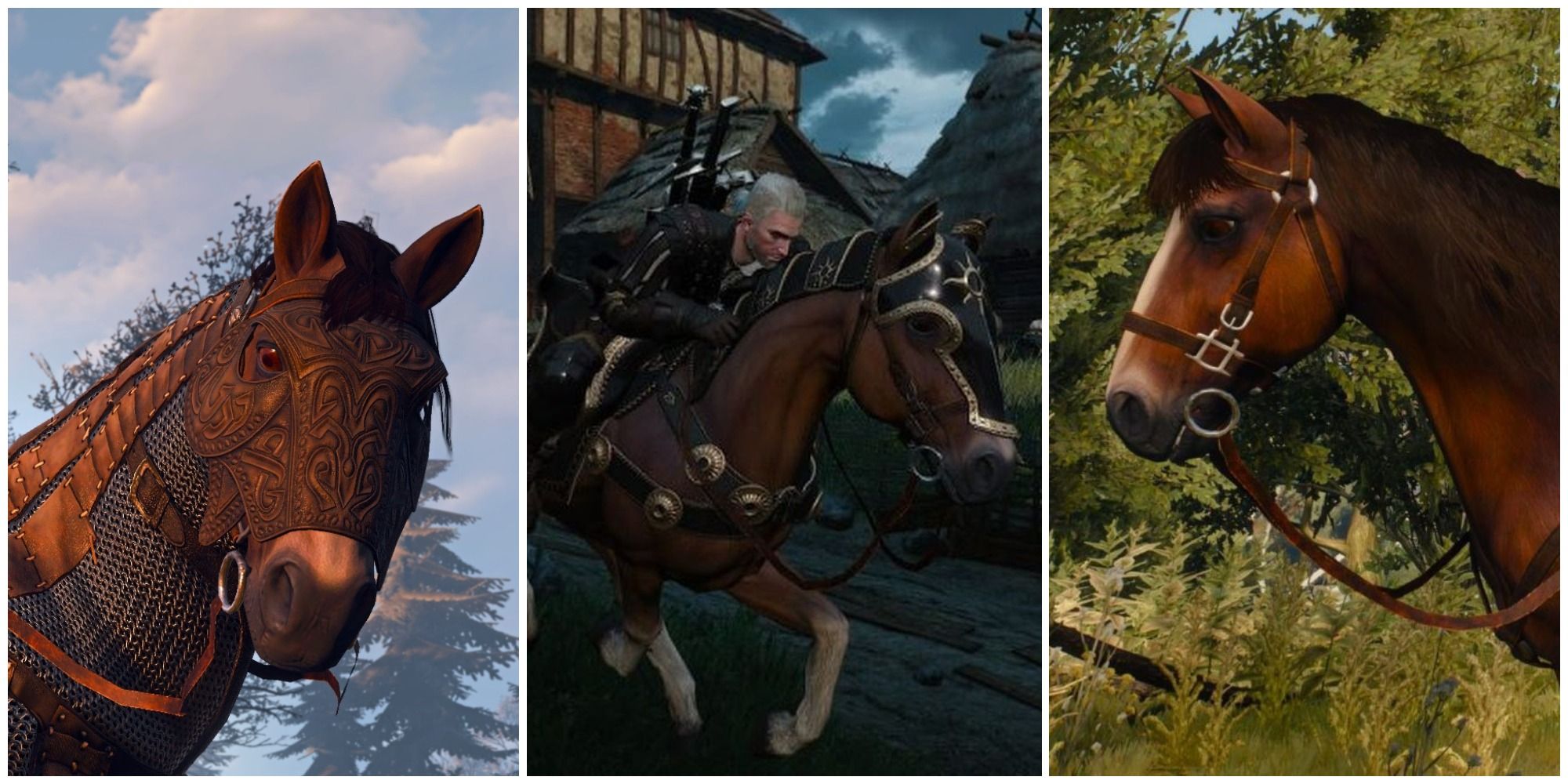 The witcher 3 horse mod фото 20