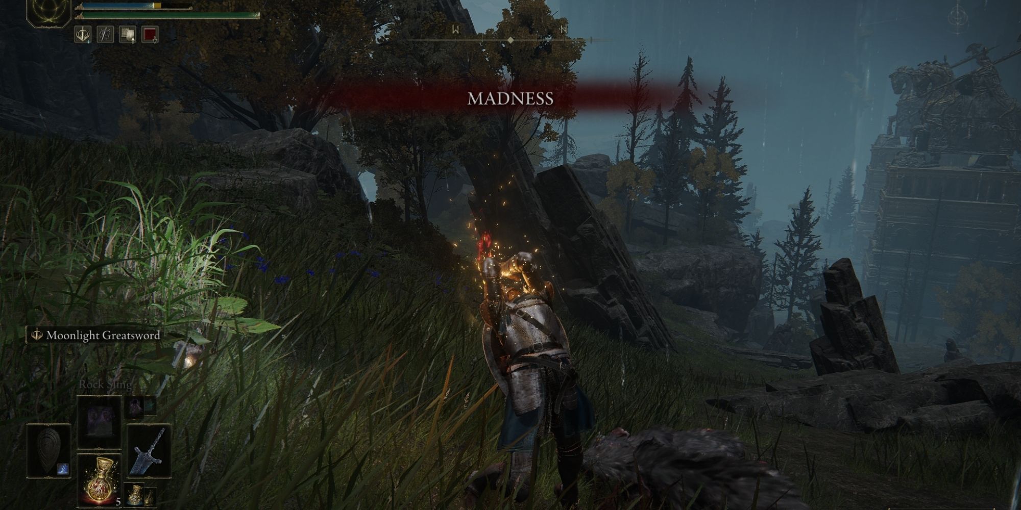 The Tarnished afflicted by Madness in Elden Ring