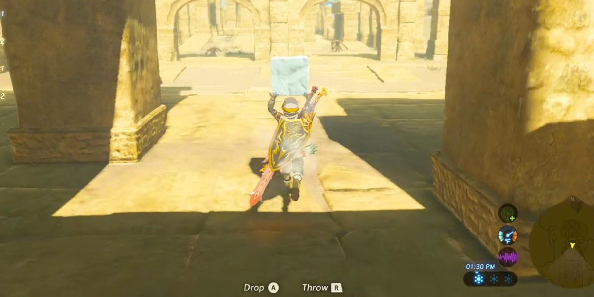 link running through ruins with an ice block
