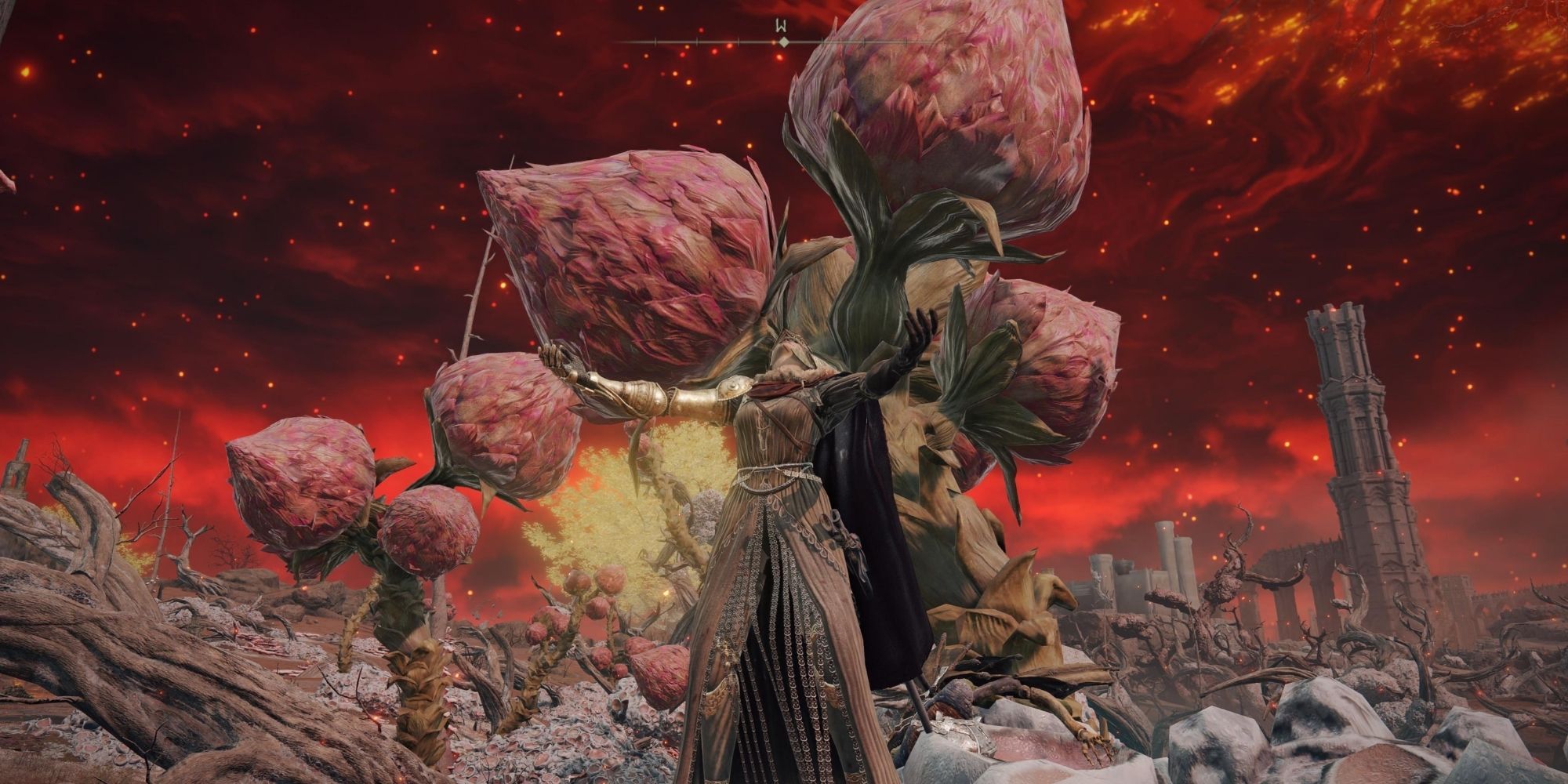 A Tarnished using Malenia's armor stands in front of rot buds in Caelid, a region of Elden Ring